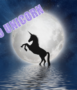 Horse Buyer Language, Translated