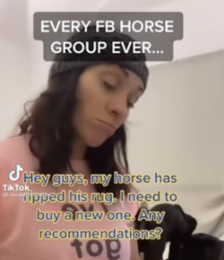 Thursday Video: Horse Facebook Groups