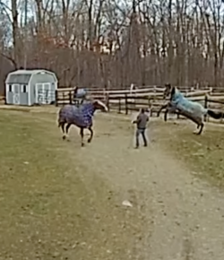 ‘Oh Crap’ Monday: It’s About To Get Western