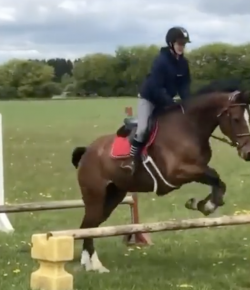 Mind Your Melon: Bouncing Through the Week