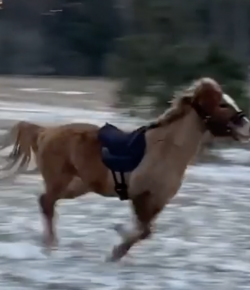 #TGIF: Bugging Out and Going Home