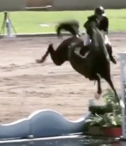 Mind Your Melon: Bust a Move