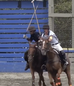 Mind Your Melon: Polo