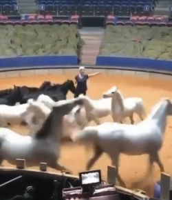 Thursday Video: Liberty Work…