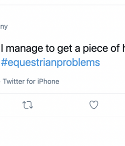 9 #EquestrianProblems According to Twitter