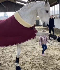 Friday Feels: Precious Moments