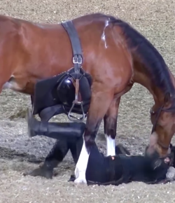 Thursday Video: The Horse Show