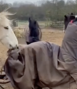 Thursday Video: Fitting In