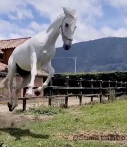 #TGIF: Ready for Some Freedom