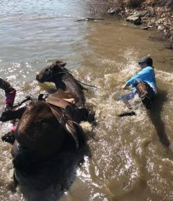 ‘Oh Crap’ Monday: Going for a Swim