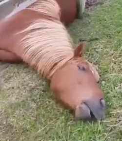 #TGIF: Weekend Goals