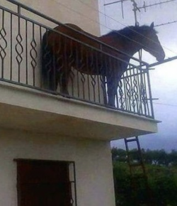 ‘Oh Crap’ Monday: Like … How?