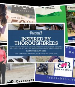 Editor’s Picks: My Top 5 Virtual Vendor Village Deals for Tuesday