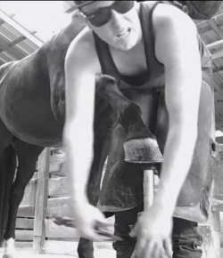 Thursday Video: ‘Old Town Road’ — Farrier Edition!