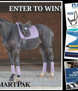 Outfit Your Horse: My Top 4 Virtual Vendor Village Deals for Thursday