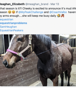 8 #equestrianproblems According to Twitter