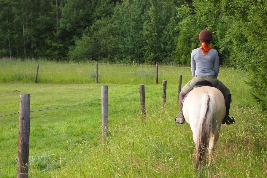 Six Reasons Why Horseback Riding is Considered Amazing Exercise HORSE NATION