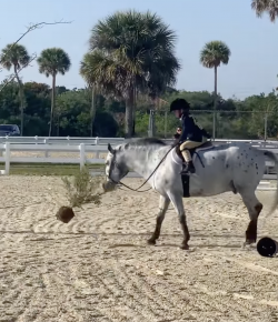 Thursday Video: Break in Competition