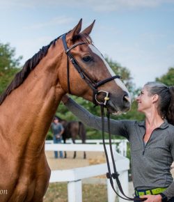 Of Love and the Pursuit of Soundness: A Story of (and for) Juice, Part I