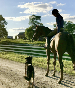 Of Love and the Pursuit of Soundness: A Story of (and for) Juice, Part III