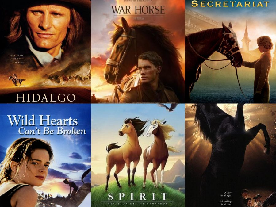 HORSE MOVIES HORSE NATION