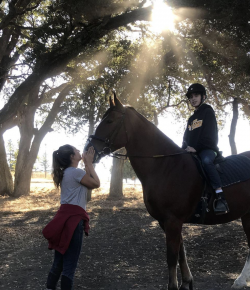 Standing Ovation: Radical Inclusivity at B.O.K. Ranch