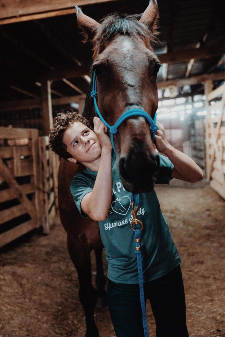 Big Lick Tennessee Walking Horse and Equine Rescue An Interview