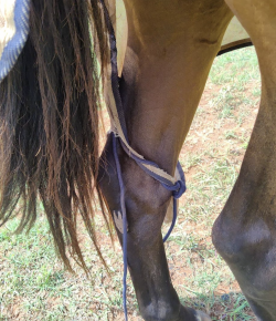 ‘Oh Crap’ Monday: Where There’s a Will…