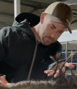Thursday Video: Chris Hemsworth Is, Like, A Legit Ponydad