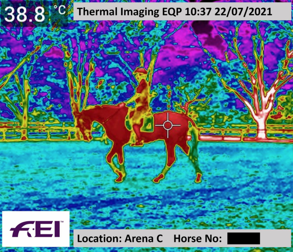 Keeping Cool in Tokyo Countermeasures in Place for Equine Athletes