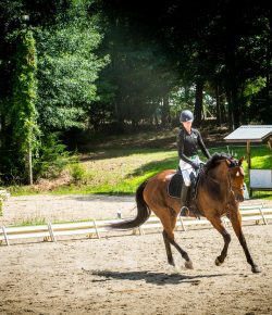 Time to Kick On: Aubrey, Boomer & Rhodie