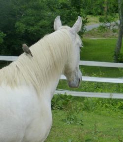 Reader Photo Challenge: Pleasant Little Surprises