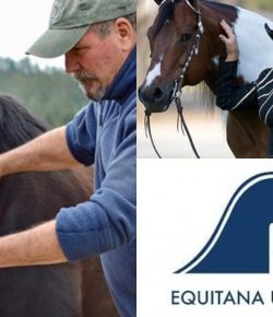 Equitana USA to Feature Clinics with Lynn Palm, Bodywork Seminars with Jim Masterson