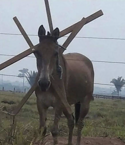 ‘Oh Crap’ Monday: We’re Confused…