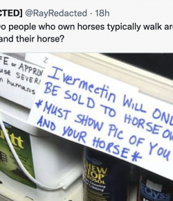 The Tweet That Broke the (Horse) Internet