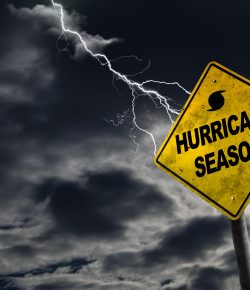 Hurricane Preparedness and Horse Ownership
