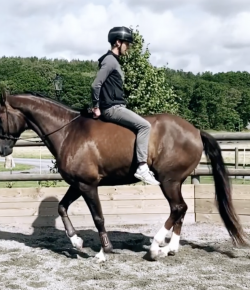 Thursday Video: Backwards Piaffe…