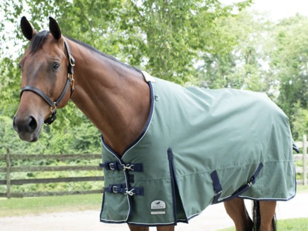 SmartPak Labor Day Morning Feed Labor Day Sale Starts Now! HORSE NATION