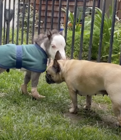 Friday Feels: Little, but Fierce