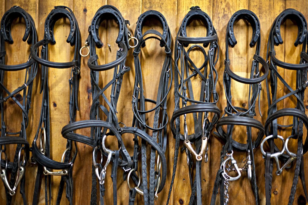 The 6 Most Satisfying Barn Chores HORSE NATION