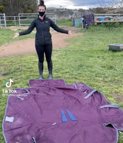 Thursday Video: Best Blanket Hack Ever