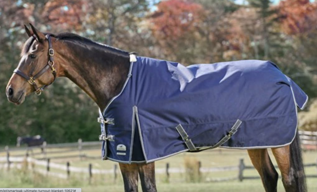 SmartPak Monday Morning Feed Ultimate Blanketing Guide HORSE NATION