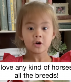 Friday Feels: I Love Horses!