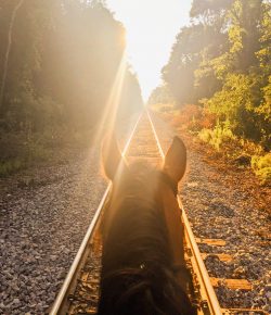 Reader Photo Challenge: Between the Ears