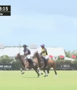 Mind Your Melon: That Pony Will Not Quit…