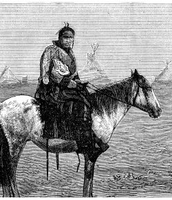 The Role of the Horse in Native American Culture