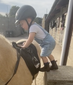 Mind Your Melon: Mounting Up