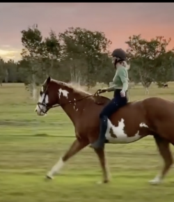 Mind Your Melon: Sunset Ride