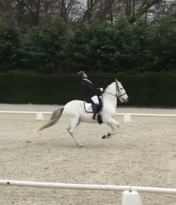 ‘Oh Crap’ Monday: X Halt Salute