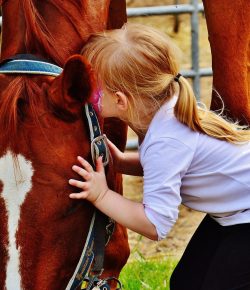 #GivingTuesday: Some of HN’s Favorite Equine-Based Charities